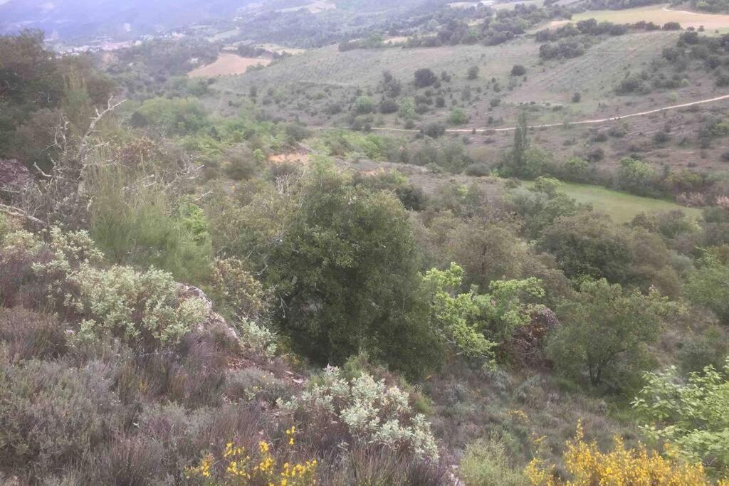 Peaceful 3 Bedroom 8 Person Ground Floor Apartment With Large Private Heated Pool La Digne-d'Amont Екстер'єр фото